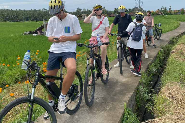 Ubud: Downhill-cykeltur med risfält, vulkan och måltidPrivat grupp