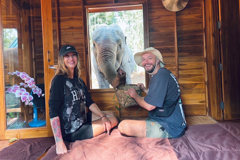 Chiang Mai 2-Day: Good Morning Elephant & Overnight Homestay