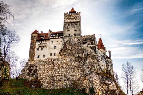 Depuis Bucarest : Visite du château de Dracula et du sanctuaire des ours