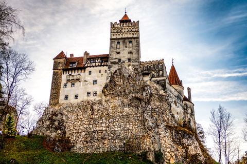 Depuis Bucarest : Visite du château de Dracula et du sanctuaire des ours