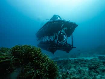 Trou-aux-Biches : Excursion sous-marine à l'épave de Star Hope