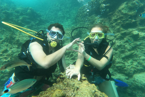 Side Underwater Museum Diving Adventure Side: Guided Scuba Diving Experience with Two Boat Dives