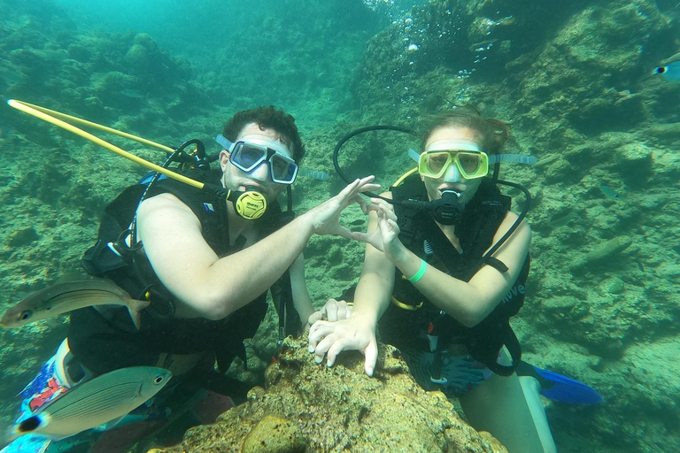 Side Underwater Museum Diving Adventure Side: Guided Scuba Diving Experience with Two Boat Dives