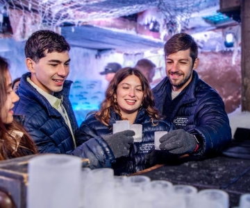 Amsterdam: Biglietto d'ingresso all'Icebar con 3 bevande