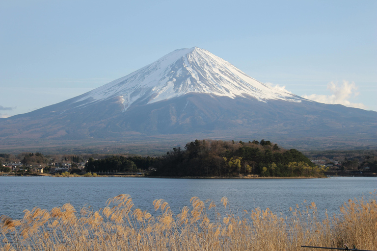 From Tokyo: Mount Fuji Full-Day Customizable & Private Tour Luxury MiniVan (1 upto 6)