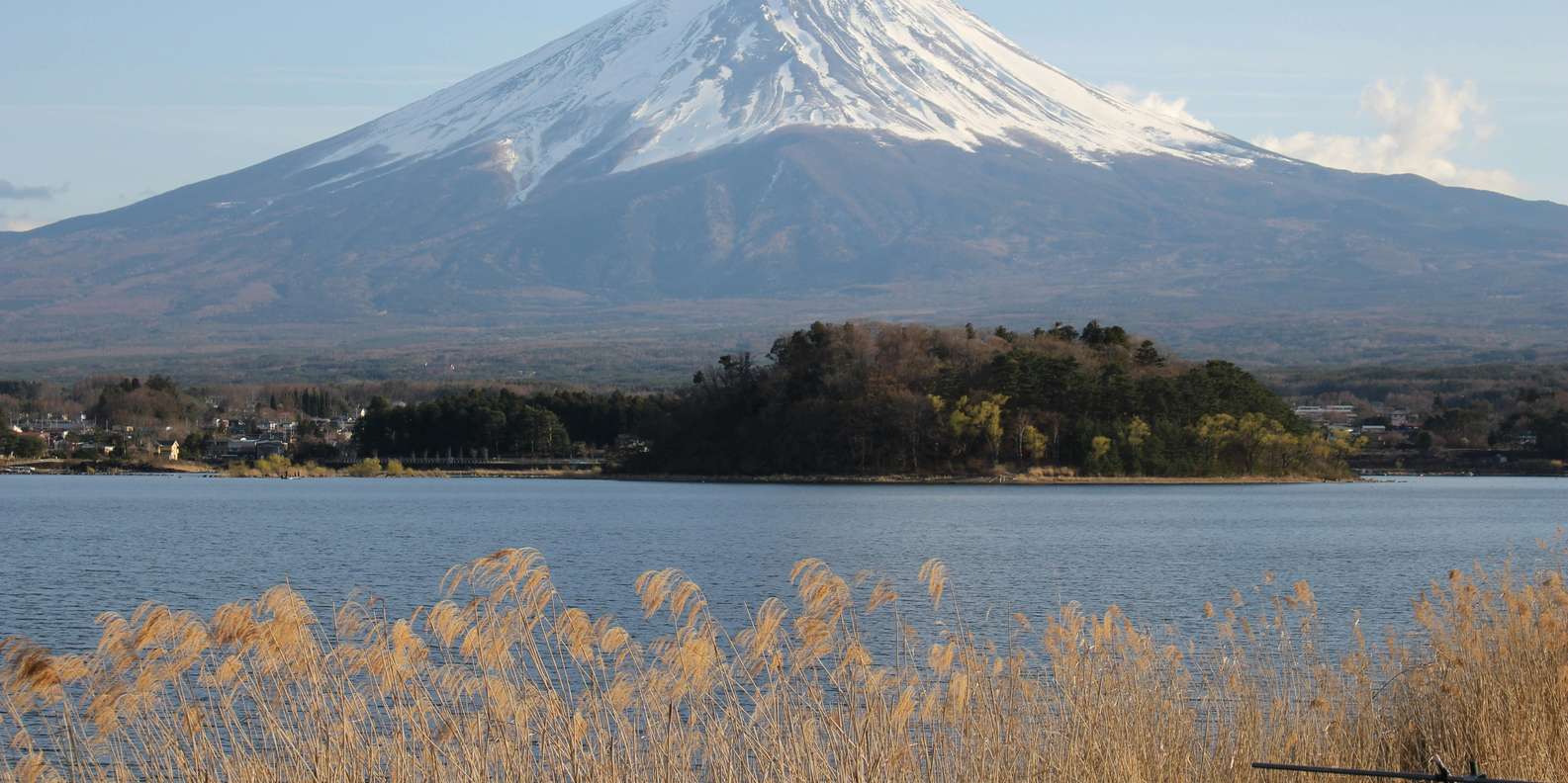 Cherry blossoms framing Mount Fuji in spring — mount fuji private tour from Tokyo