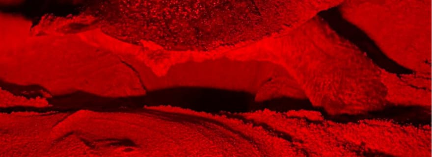 Visite privée de l'île de Sal pour observer les tortues dans leur habitat naturel