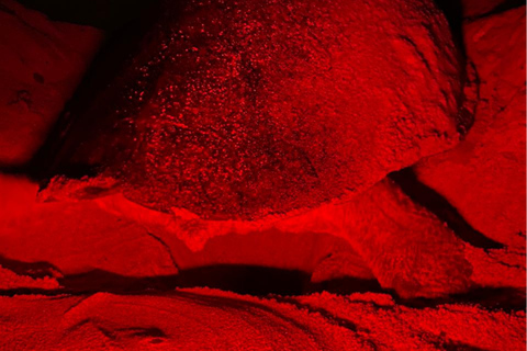 Sal Island Turtle Watch Tour w naturalnym środowisku