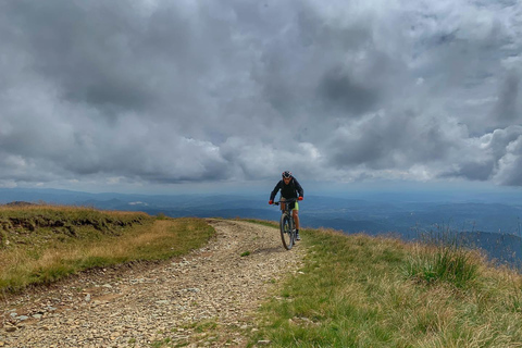 Sinaia: Guided Mountain Bike Tour in the Bucegi Mountains
