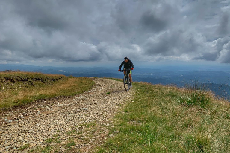 Sinaia: Guided Mountain Bike Tour in the Bucegi Mountains