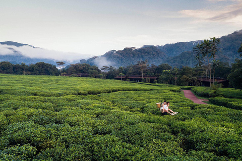 2 Day Nyungwe Canopy Walk and Zipline