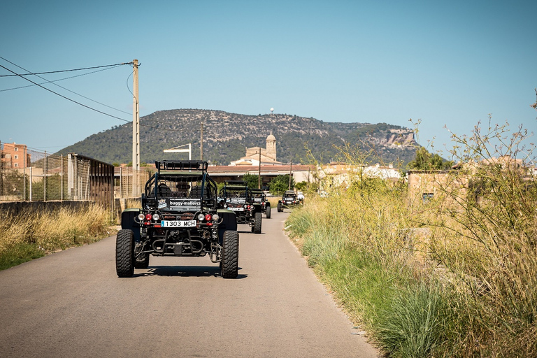 On Road Buggy Tour Majorka