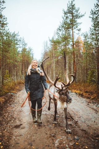 Rovaniemi: Walk with Reindeer