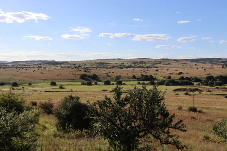 Johannesburgo Excursión De Un Día A La Cuna De La Humanidad Y Safari Getyourguide 2858