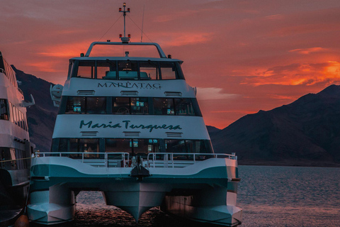 El Calafate: Upsala & Spegazzini Glaciers Cruise with Lunch Cruise with Boxed Lunch and Hotel Pickup