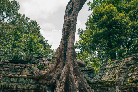 Siem Reap: Angkor Wat för tre dagars rundturPrivat tur