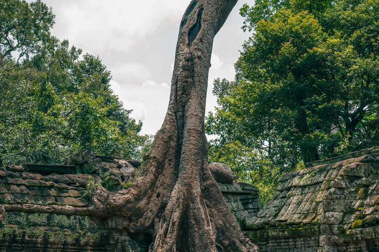 Siem Reap: Angkor Wat for Three Days Tour Private Tour