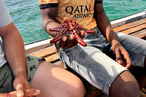 De Zanzibar: Estrela do mar, lagoa azul e o restaurante Rock