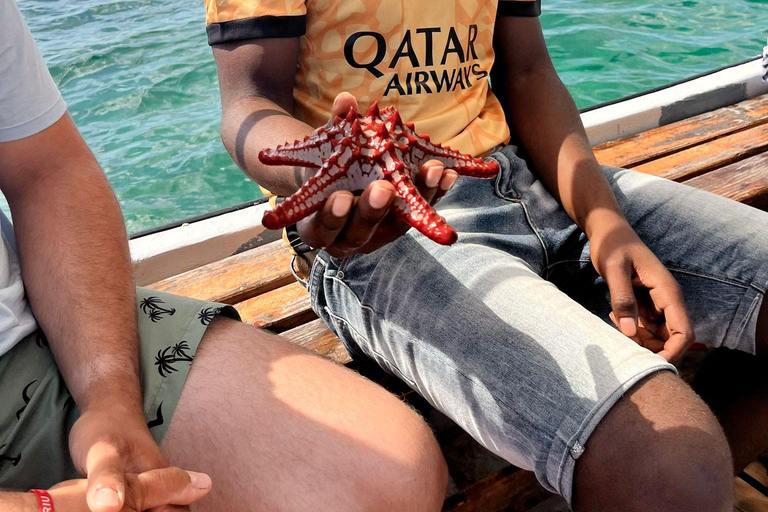 De Zanzibar: Estrela do mar, lagoa azul e o restaurante Rock