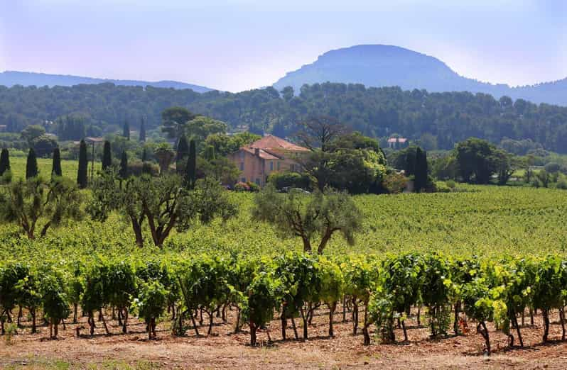 Bandol and Cassis: Full Day Wine Tour from Marseille | GetYourGuide