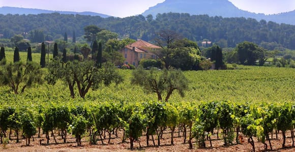 Bandol und Cassis: Ganztägige Weintour ab Marseille