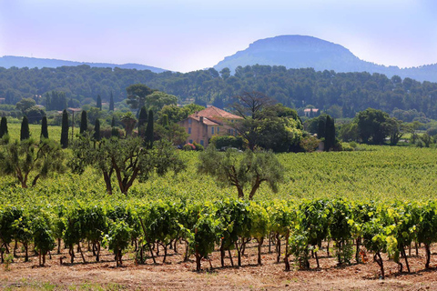 Bandol und Cassis: Ganztägige Weintour ab MarseilleBandol und Cassis: Ganztagestour von Marseille zum Wein