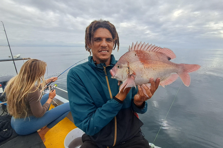 رحلات السفاري في المحيط وصيد الأسماك في خليج سانت فرانسيس