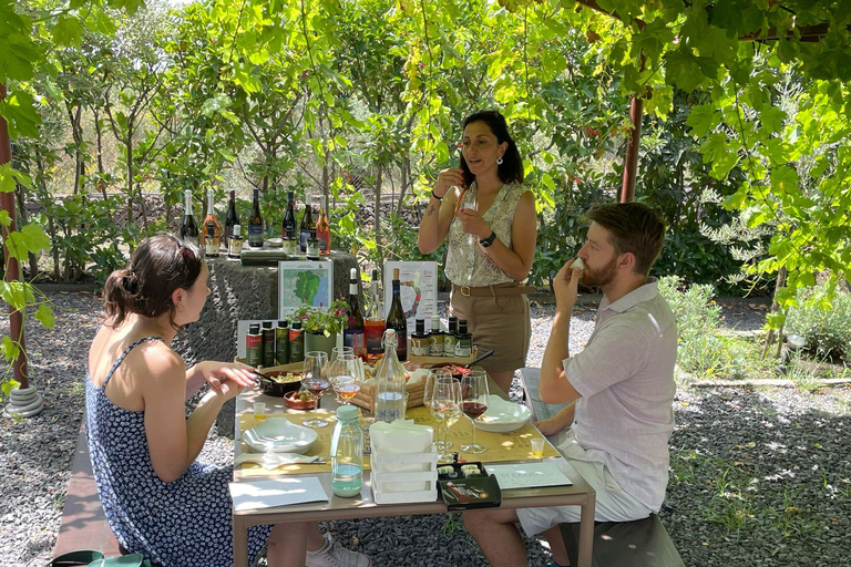 尼科洛西橄榄油品尝体验