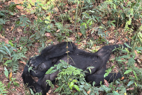 Uganda: 5-Day White Water Rafting, Jinja, and Kampala Tour