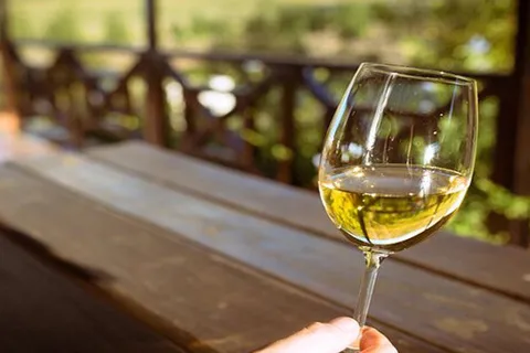 Visite d'une jounée sur mesure à Stellenbosch Winelands