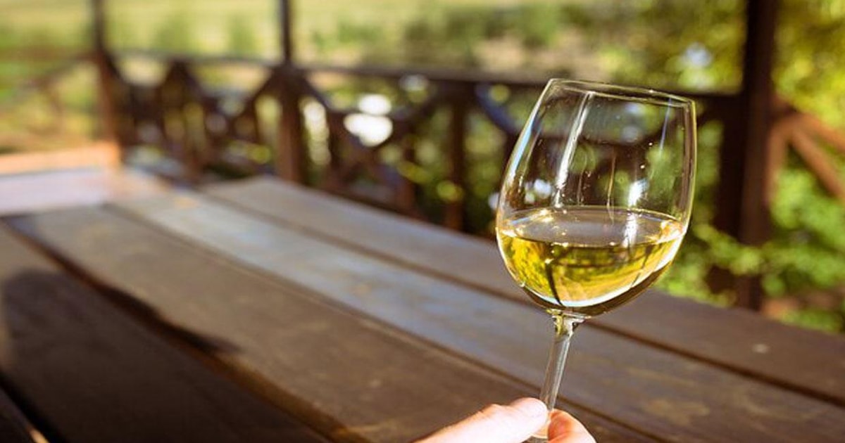 Franschhoek Tram Wine Tasting Full-Day Experience | GetYourGuide