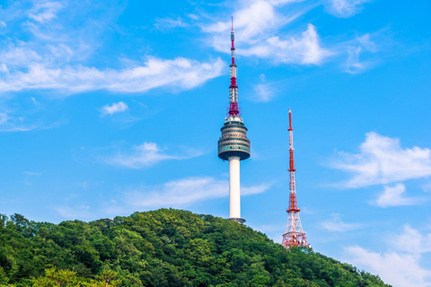 Seoul: Han River Yacht Cruise, Seoul Forest, Private Tour