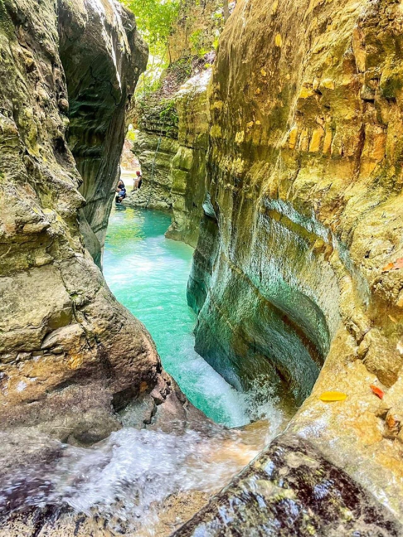 Puerto Plata: Damajagua-Wasserfälle & MonkeyHome-Tour