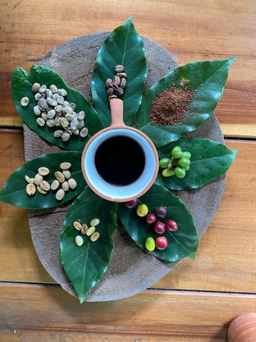 Cusco: Sensory Coffee & Cocoa Farm Experience