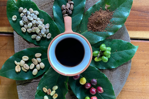 Cusco: 2-Day Coffee & Cacao Farm Stay Experience