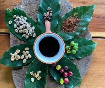 Cusco: Esperienza di caffè e cioccolato artigianale