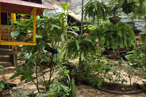 Mariposario Sierra Nevada Entry Ticket