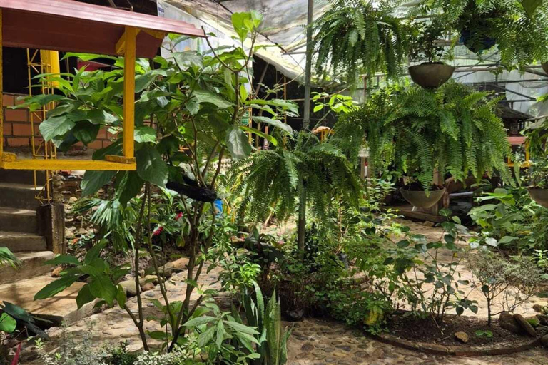 Mariposario Sierra Nevada Entry Ticket