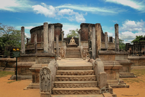 Sigiriya: Rock Hike, Elephant Safari & Polonnaruwa City Tour
