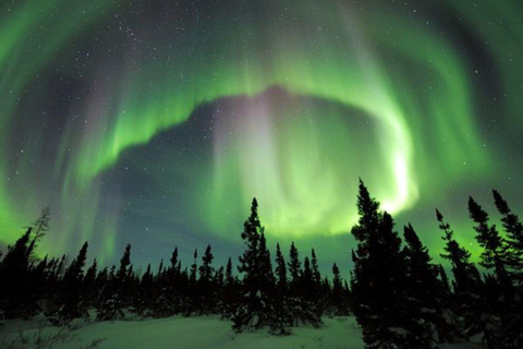 From Rovaniemi: 2-Day Private Lapland Tour with Santa & Zoo