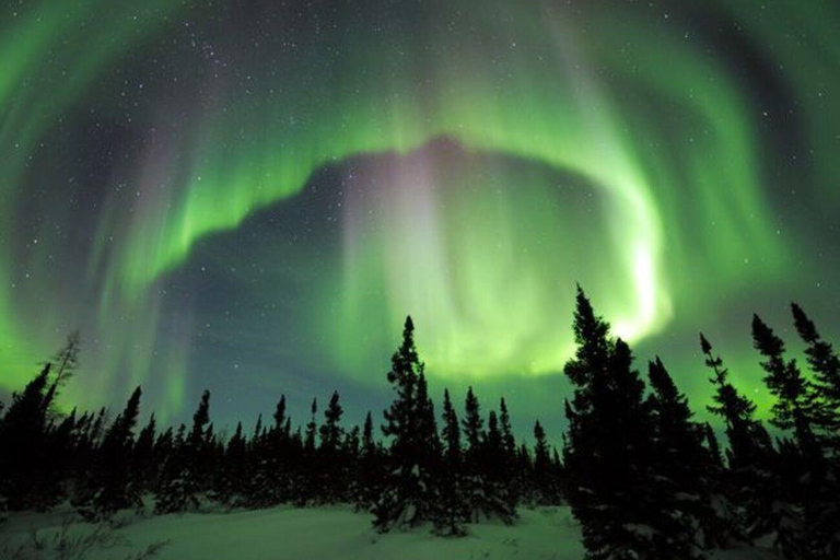 From Rovaniemi: 2-Day Private Lapland Tour with Santa & Zoo