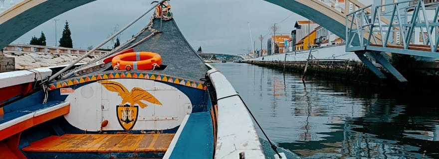 Aveiro : Visite privée à pied de la ville et du bateau Moliceiro