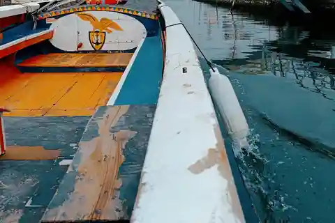 Aveiro: Private Walking Tour in the City and Moliceiro boat