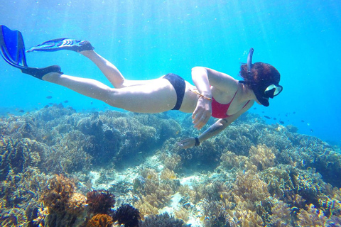 Pusuk Affenwald Lombok, Geistervilla und die drei Gilis