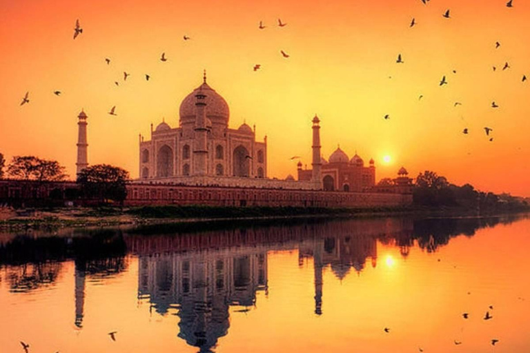 Desde Bombay: Amanecer en el Taj Mahal de Agra con el Templo de Lord ShivaServicio sólo en Agra: Coche Privado + Guía