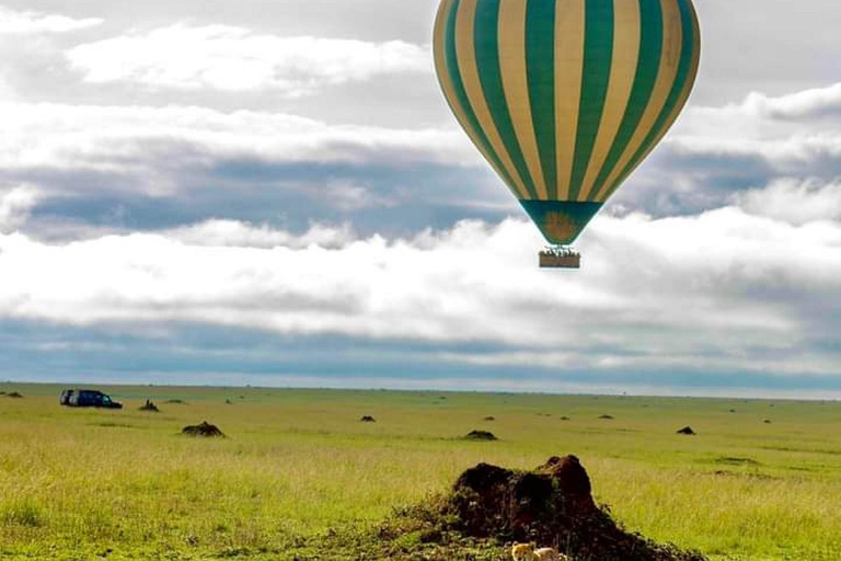 Vanuit Zanzibar: 3D-daagse safari Serenget&amp; Ngorongoro privétour