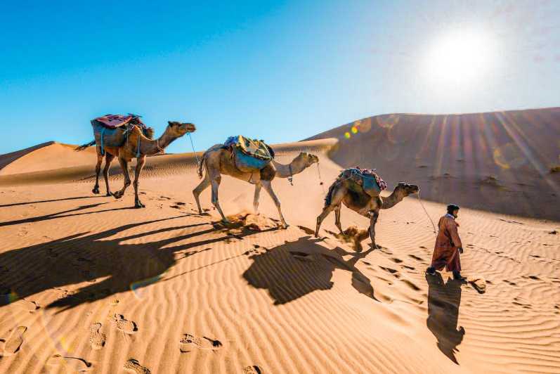 フェズ発：宿泊付きマラケシュへの 3 日間の砂漠ツアー