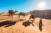 De Fes, tournée du désert de 3 jours à Marrakech avec un hébergement - Housity