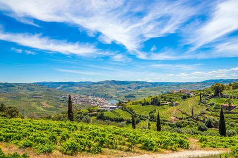 Douro Valley: A Sensory Experience in the Douro: Wines, Olive Oil, and History Douro Valley: Sensory Experience in the Douro: Wines, Olive Oil, and History