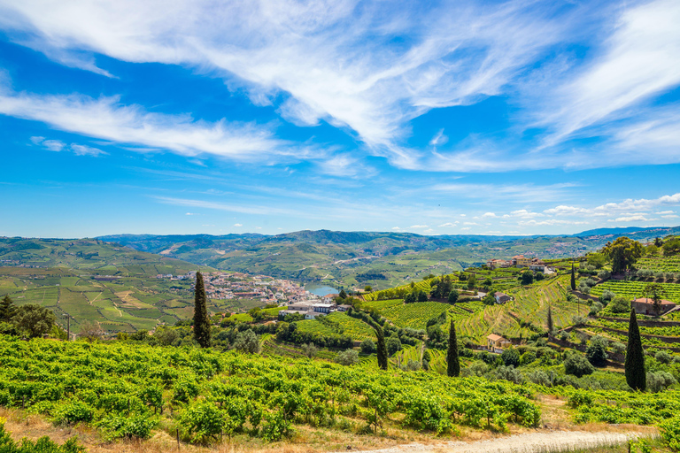 Douro Valley: A Sensory Experience in the Douro: Wines, Olive Oil, and History Douro Valley: Sensory Experience in the Douro: Wines, Olive Oil, and History